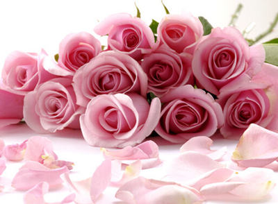 七夕鲜花物语大全花语大全