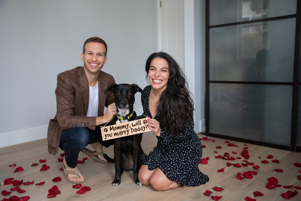 marriage proposal ideas with pet