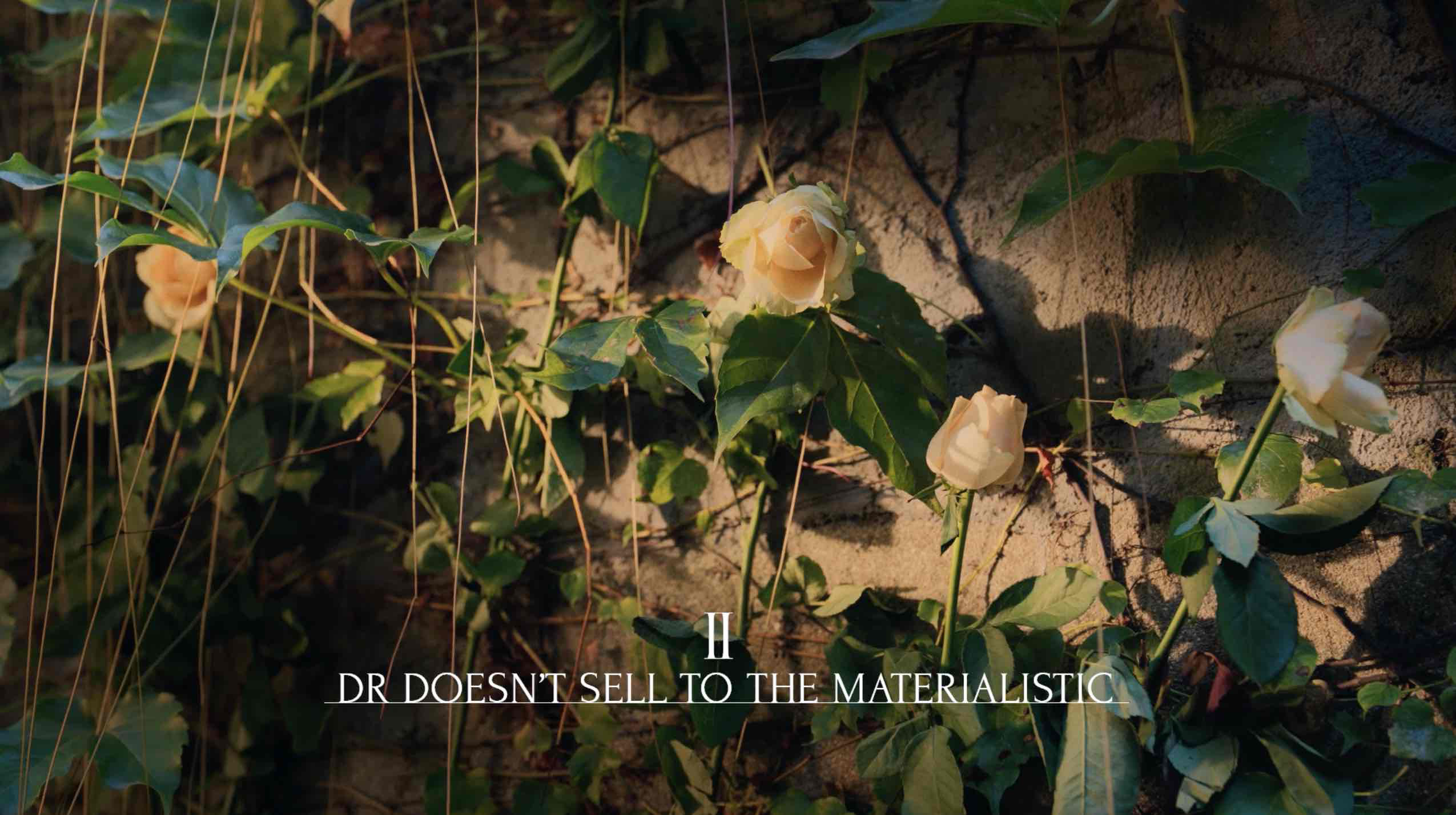 dr doesn't sell to the materiallistic