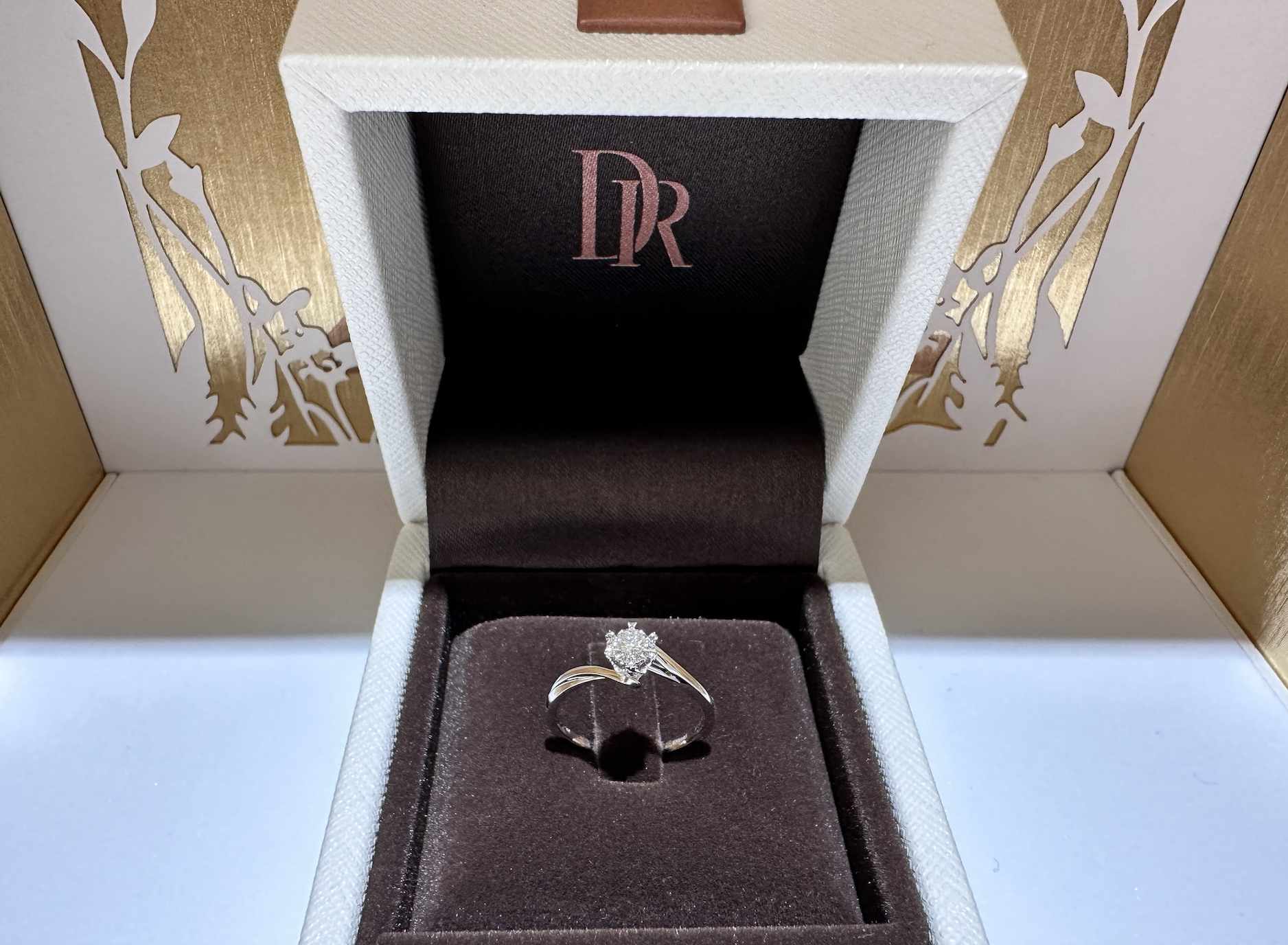 Flower Diamond Engagement Ring White Gold Darry Ring