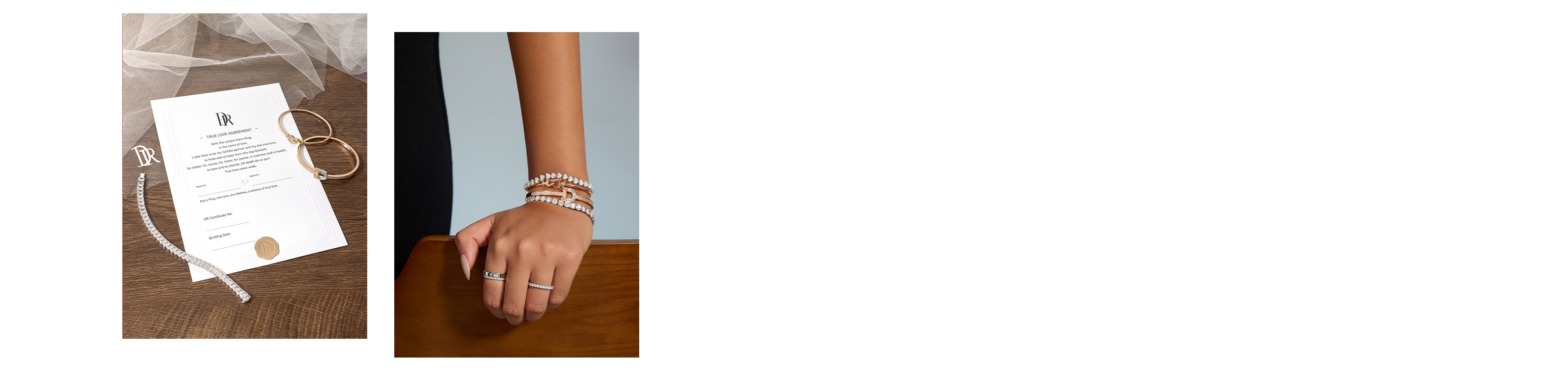 DR jewelry banner